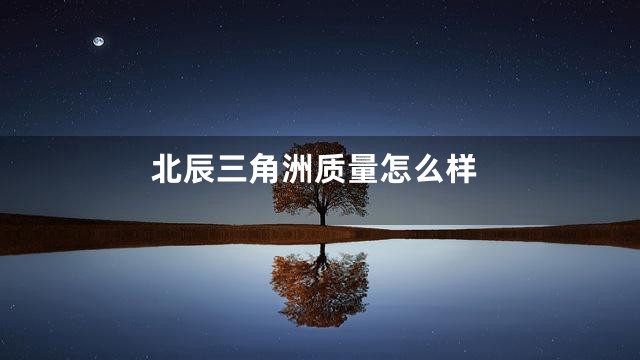 北辰三角洲质量怎么样