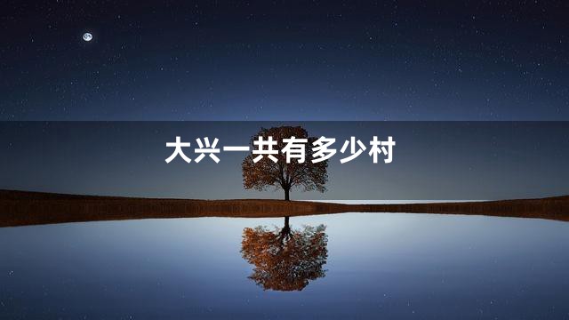 大兴一共有多少村