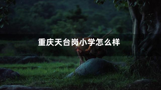重庆天台岗小学怎么样