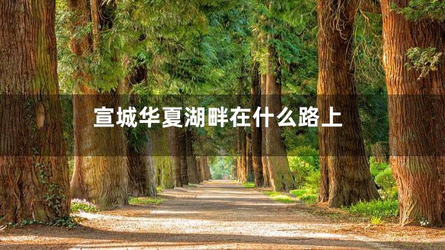 宣城华夏湖畔在什么路上