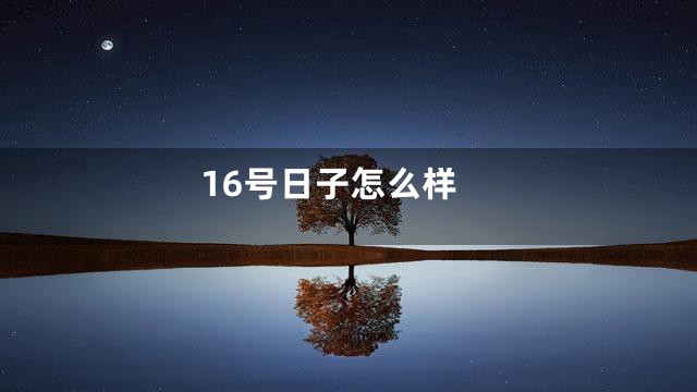 16号日子怎么样