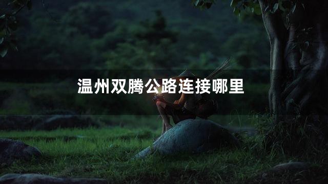 温州双腾公路连接哪里