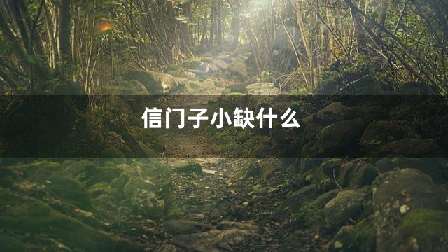 信门子小缺什么