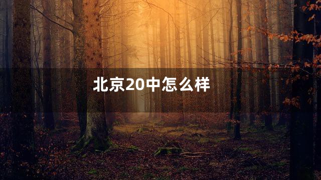 北京20中怎么样