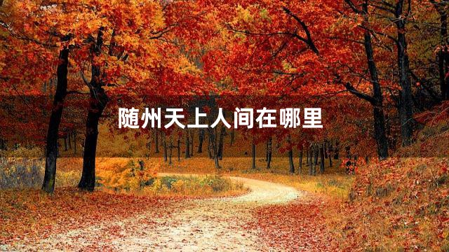 随州天上人间在哪里