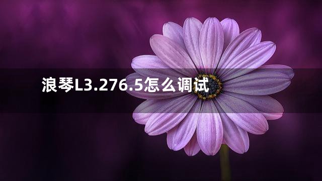 浪琴L3.276.5怎么调试