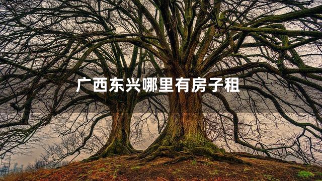 广西东兴哪里有房子租