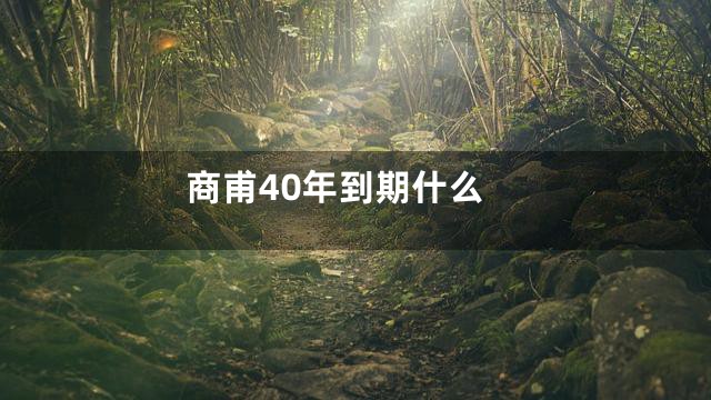 商甫40年到期什么