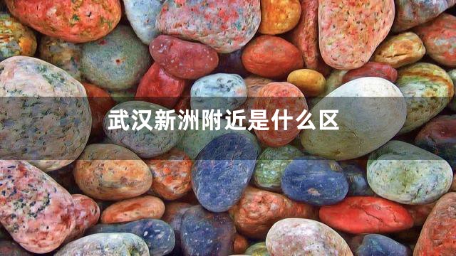 武汉新洲附近是什么区