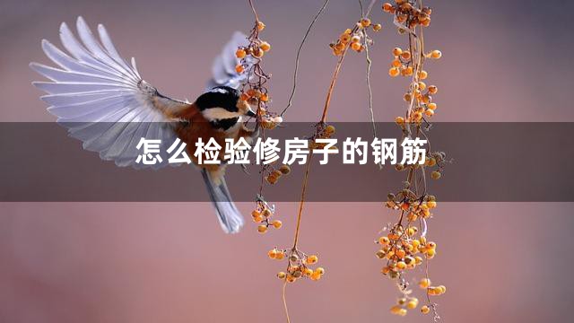 怎么检验修房子的钢筋