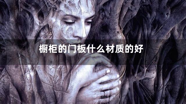 橱柜的门板什么材质的好