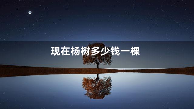 现在杨树多少钱一棵