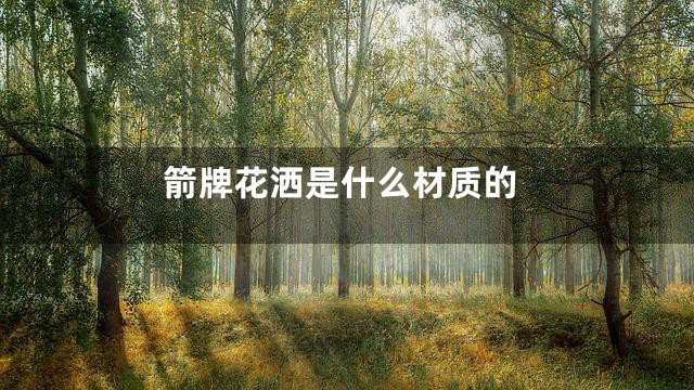 箭牌花洒是什么材质的