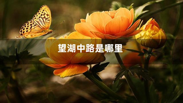 望湖中路是哪里