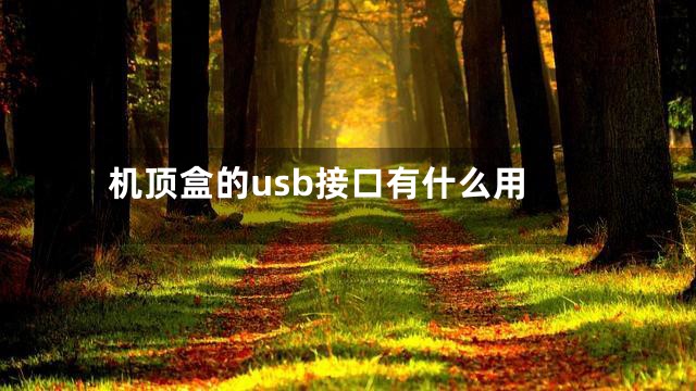 机顶盒的usb接口有什么用