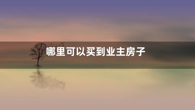 哪里可以买到业主房子