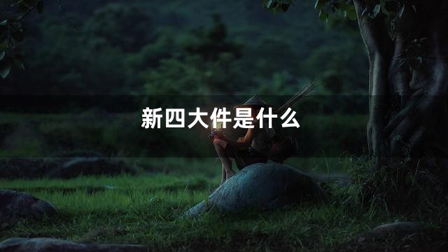 新四大件是什么