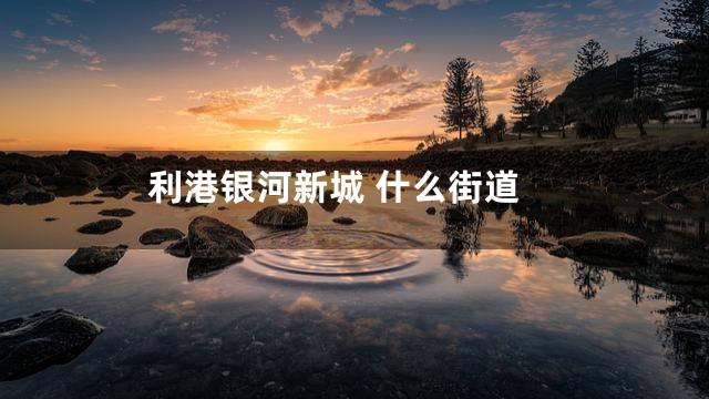 利港银河新城 什么街道