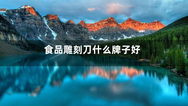 食品雕刻刀什么牌子好