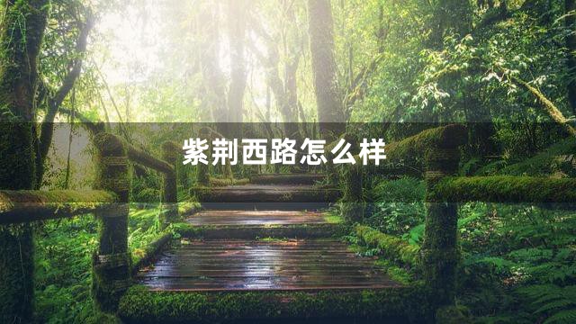 紫荆西路怎么样