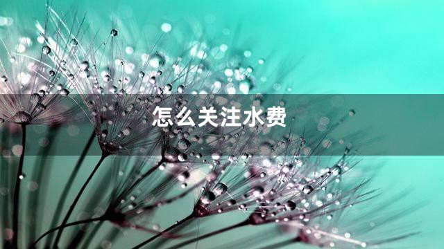 怎么关注水费