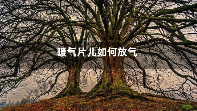 暖气片儿如何放气