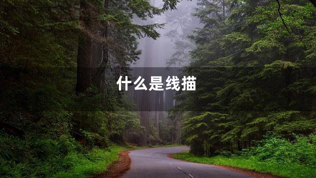 什么是线描