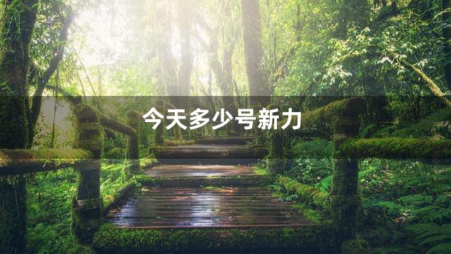 今天多少号新力