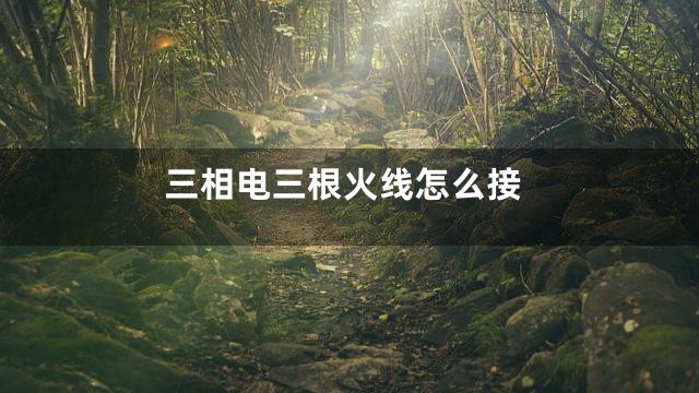 三相电三根火线怎么接
