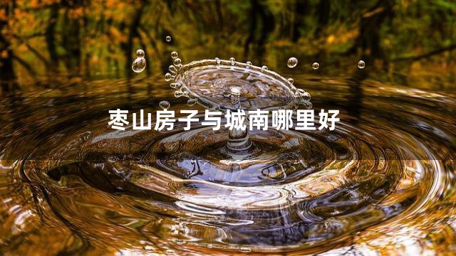 枣山房子与城南哪里好