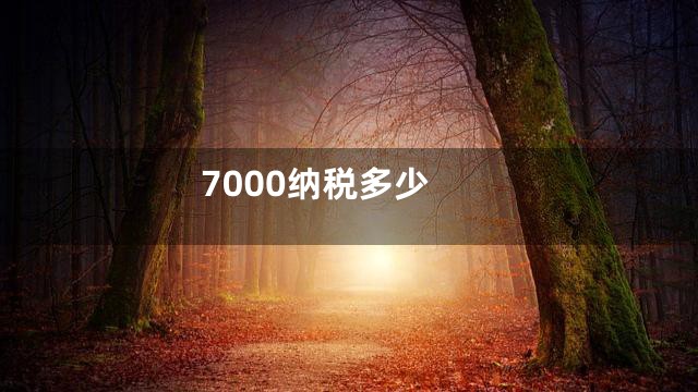 7000纳税多少