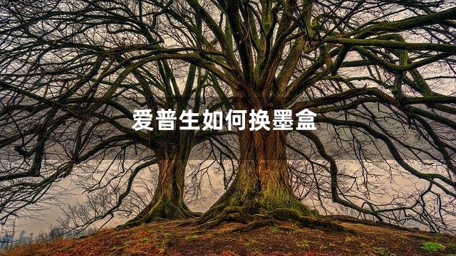 爱普生如何换墨盒