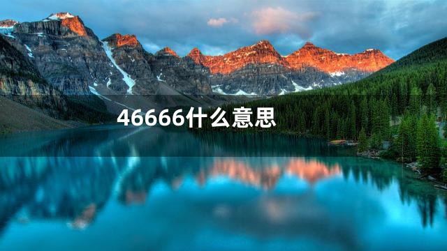 46666什么意思