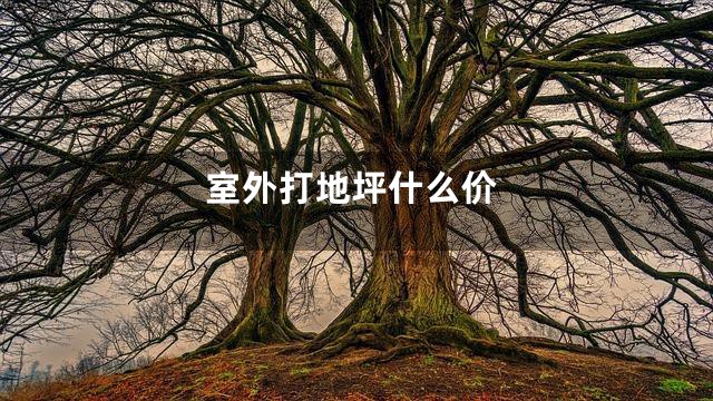 室外打地坪什么价