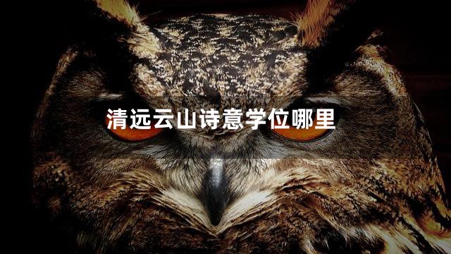 清远云山诗意学位哪里