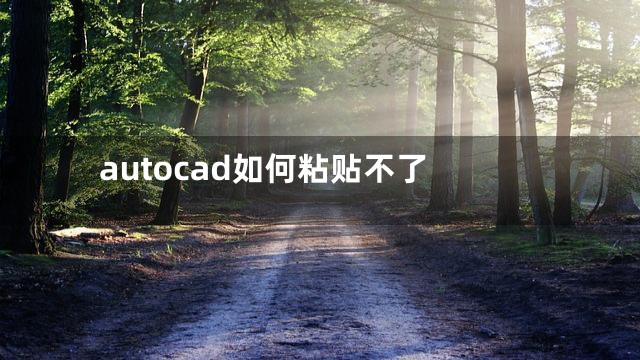 autocad如何粘贴不了