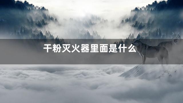 干粉灭火器里面是什么
