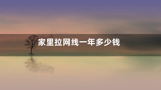家里拉网线一年多少钱