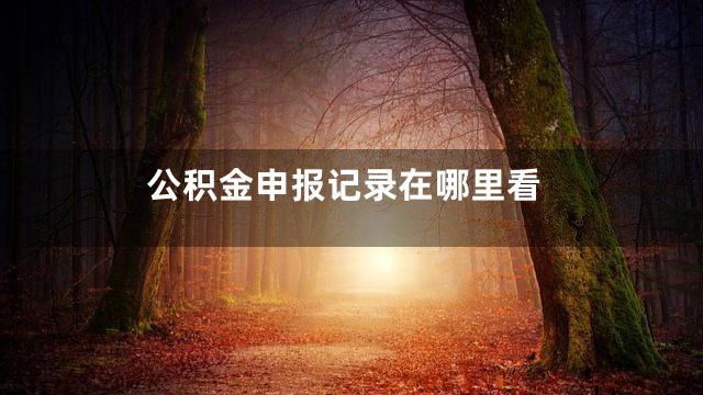 公积金申报记录在哪里看