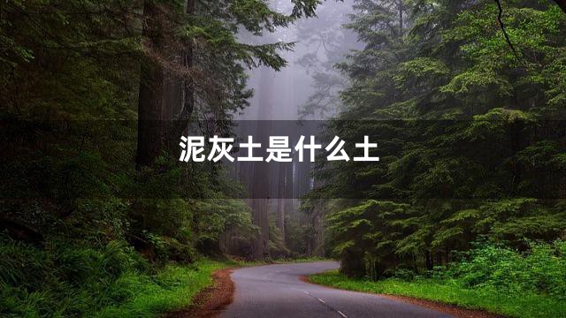 泥灰土是什么土