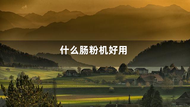 什么肠粉机好用