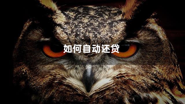 如何自动还贷