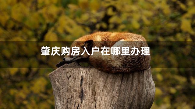 肇庆购房入户在哪里办理