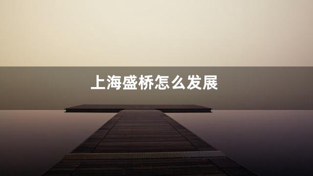 上海盛桥怎么发展