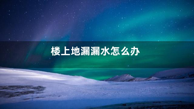 楼上地漏漏水怎么办