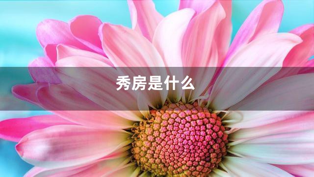 秀房是什么