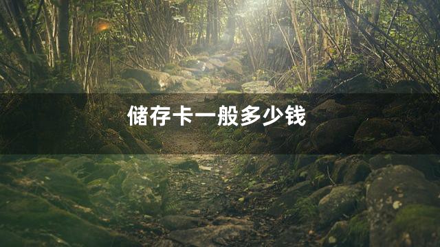 储存卡一般多少钱
