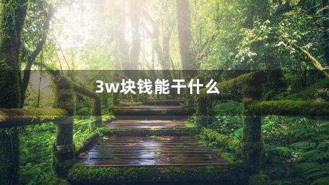 3w块钱能干什么