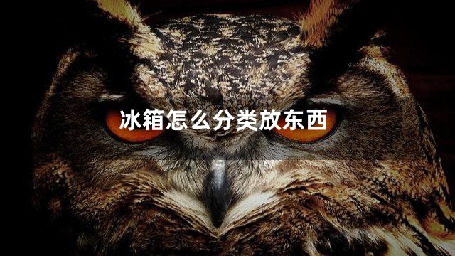 冰箱怎么分类放东西