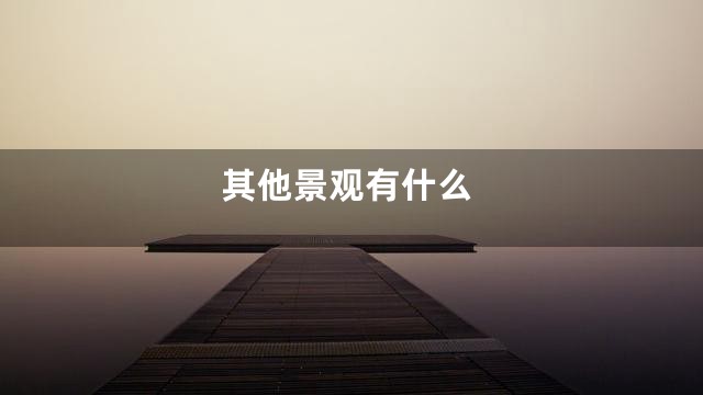 其他景观有什么